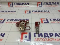 Петли двери задней левой Kaiyi E5