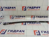 Молдинг крыши левый Kaiyi E5 J425700010