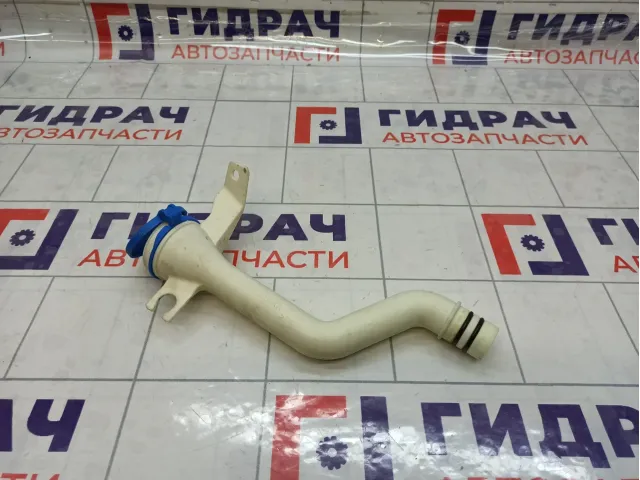 Горловина бачка омывателя Kaiyi E5 607000109AA