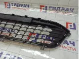 Решетка в бампер центральная Kaiyi E5 602001637AA
