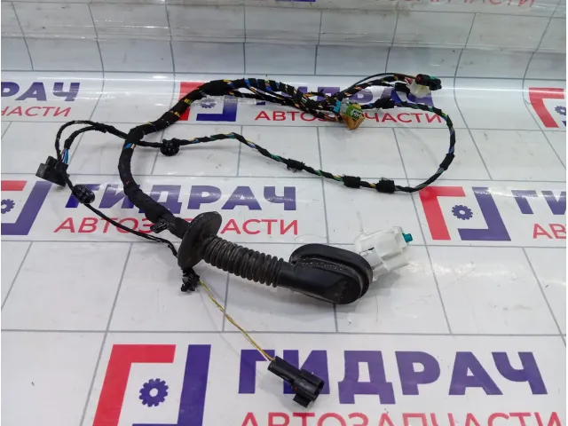 Проводка двери передней левой Kaiyi E5 806003065AA