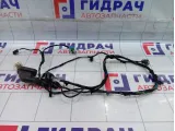 Проводка двери задней левой Kaiyi E5 806003071AA