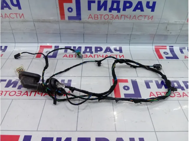 Проводка двери задней левой Kaiyi E5 806003071AA