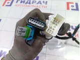 Проводка двери задней левой Kaiyi E5 806003071AA