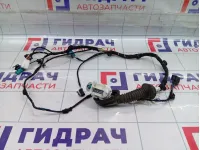 Проводка двери передней правой Kaiyi E5 806003743AA
