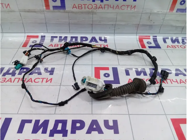 Проводка двери передней правой Kaiyi E5 806003743AA