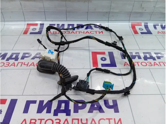Проводка двери задней правой Kaiyi E5 806003074AA