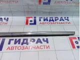 Молдинг стекла двери передней левой Kaiyi E5 554000878AA