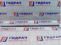 Молдинг стекла двери передней правой Kaiyi E5 554000879AA
