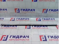 Молдинг стекла двери задней правой Kaiyi E5 554000881AA