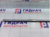 Молдинг стекла двери задней правой Kaiyi E5 554000881AA