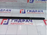 Молдинг стекла двери задней правой Kaiyi E5 554000881AA