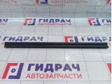 Уплотнитель стекла двери задней левой Kaiyi E5 J426207115
