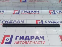 Уплотнитель стекла двери задней левой Kaiyi E5 J426207115