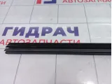 Уплотнитель стекла двери задней левой Kaiyi E5 J426207115