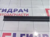 Уплотнитель стекла двери задней правой Kaiyi E5 J426207115