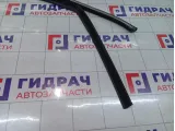 Уплотнитель стекла двери передней правой Kaiyi E5 J426107112