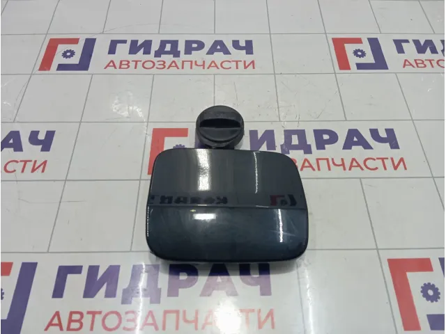 Лючок бензобака Kaiyi E5 503000091