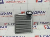 Испаритель кондиционера Kaiyi E5 J608107350