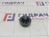 Крепление (болт) запасного колеса Kaiyi E5 T213100113