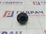 Крепление (болт) запасного колеса Kaiyi E5 T213100113