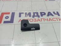 Ручка открывания капота Kaiyi E5 J425402171HA