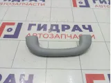 Ручка потолочная Kaiyi E5 J426906010DA