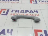 Ручка потолочная Kaiyi E5 J426906010DA
