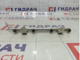 Топливная рампа (топливная рейка) Kaiyi E5 E4T15C1121010