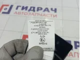 Ремень безопасности центральный задний Kaiyi E5 623428800B
