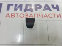 Кнопка аварийной сигнализации Kaiyi E5 808000578AA