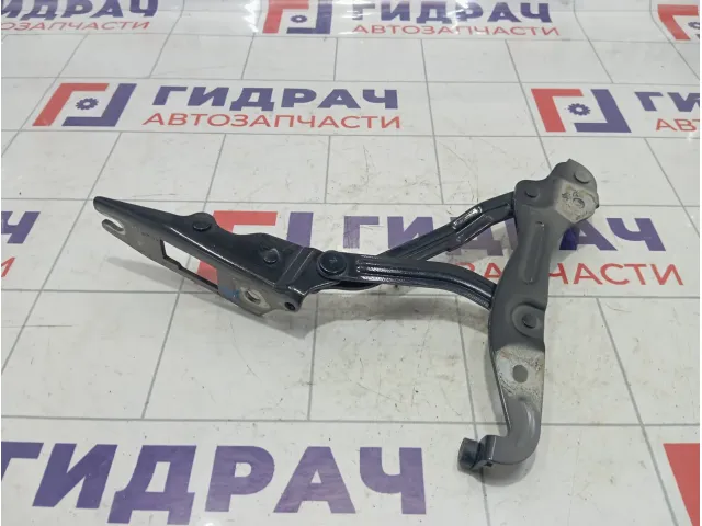 Петля багажника левая Kaiyi E5 552000307AA