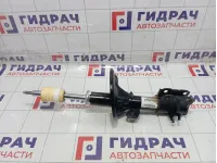 Амортизатор передний левый Kaiyi E5 202001064AA