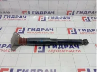 Амортизатор задний Kaiyi E5 202001067AA