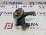 Кулак поворотный передний левый Kaiyi E5 J603001011