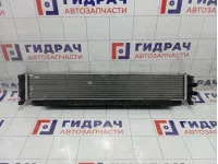 Интеркулер Kaiyi E5 J601119610