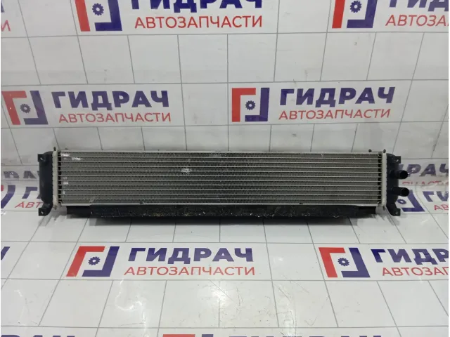 Интеркулер Kaiyi E5 J601119610