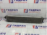 Интеркулер Kaiyi E5 J601119610