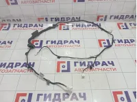Проводка крышки (двери) багажника Kaiyi E5 806003084AA