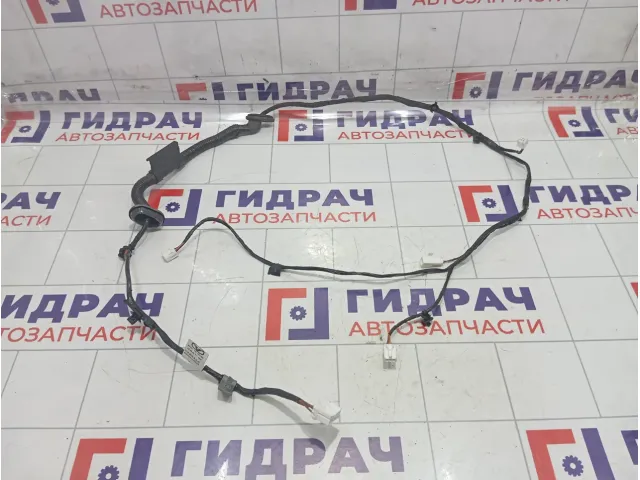 Проводка крышки (двери) багажника Kaiyi E5 806003084AA