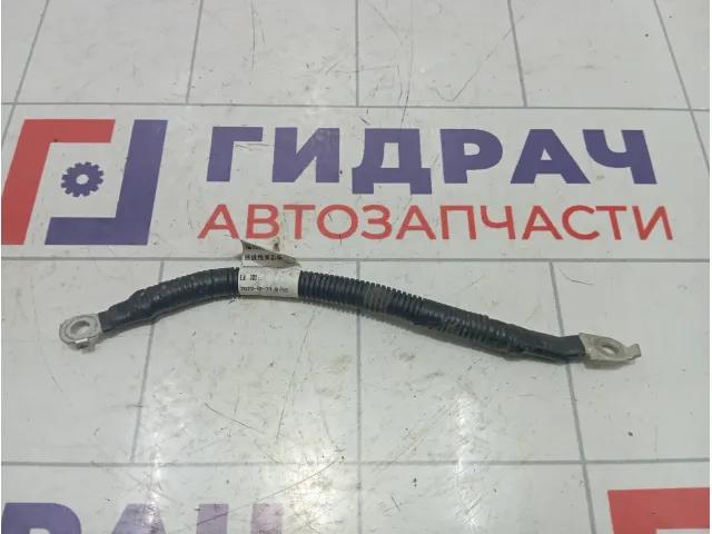 Клемма аккумулятора Kaiyi E5 806003091AA