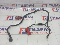 Клемма аккумулятора плюс Kaiyi E5 806003088AA