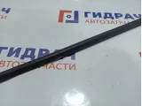 Накладка стекла двери заднего левого Kia Rio X (X-Line) 83210-H0500.