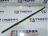 Накладка стекла двери заднего правого Kia Rio X (X-Line) 83220-H0500.