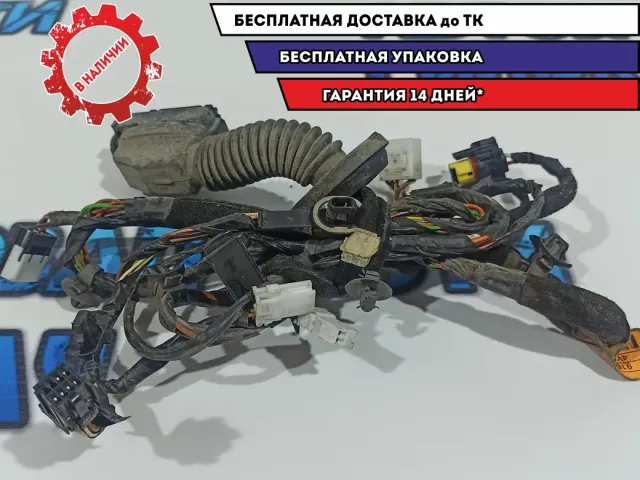 Проводка двери передней правой Kia Rio 3 916104Y020.