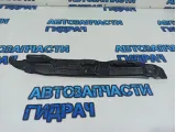 Пыльник правого крыла Kia Rio 3 841424X000.