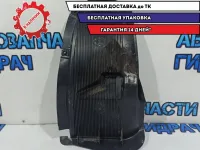 Локер задний правый Kia Rio 3 868224Y200. Дефекты.