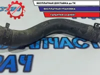 Патрубок радиатора Kia Rio 3 .