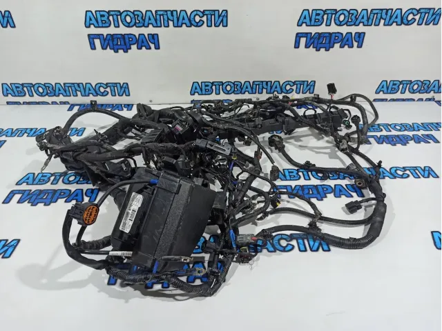 Проводка (коса) Kia Rio 3 912204Y060.