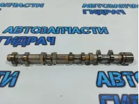 Распредвал выпускной Kia Rio 3 242002B010.